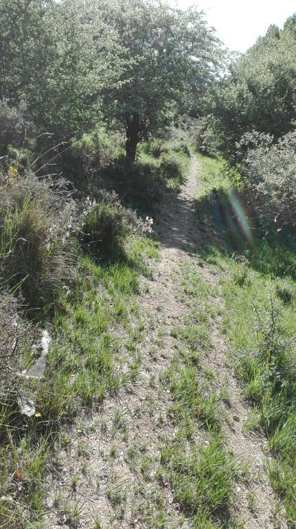 La Muralla Retortillo de Soria Bagian luar foto