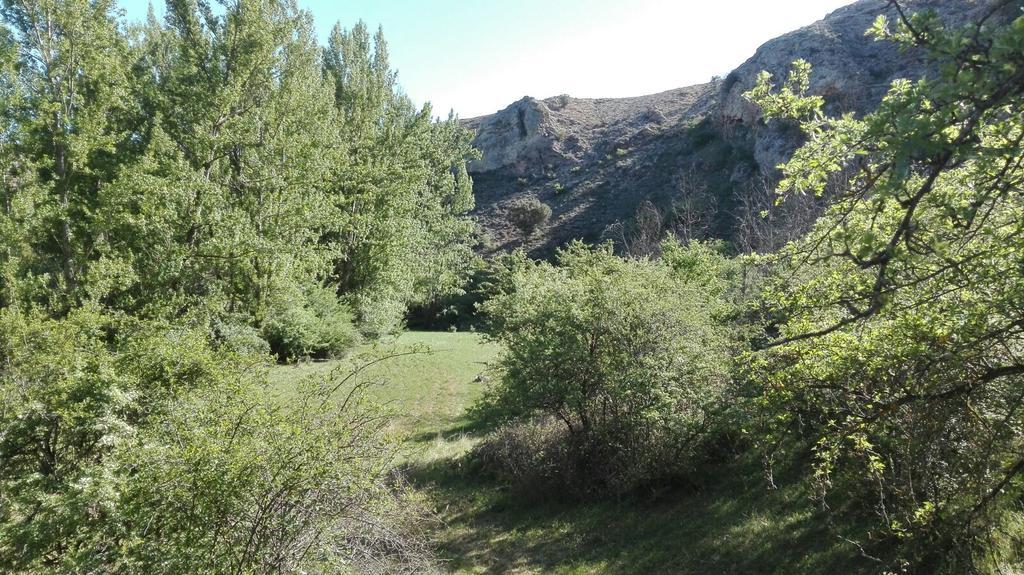 La Muralla Retortillo de Soria Bagian luar foto